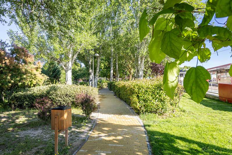 Boadilla reforzó sus zonas verdes en 2025 con 1360 nuevos árboles, más de 6700 arbustos y 42.000 flores
